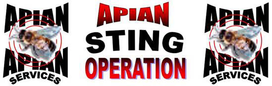 Apian Sting Operation logo.